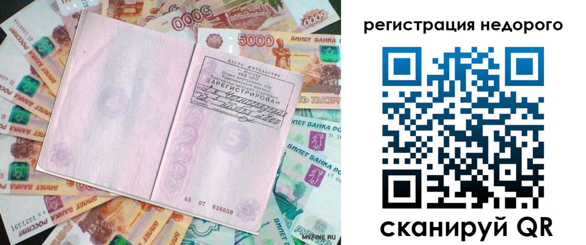 прописка в квартире в Кольчугино